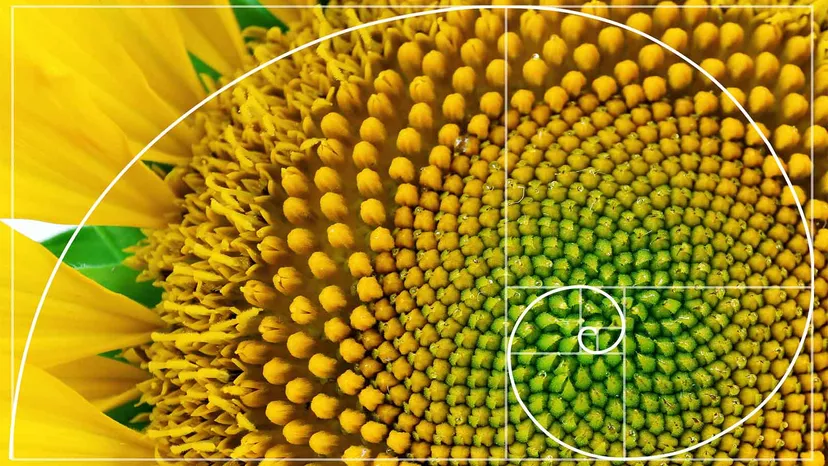 Fibonacci sequence