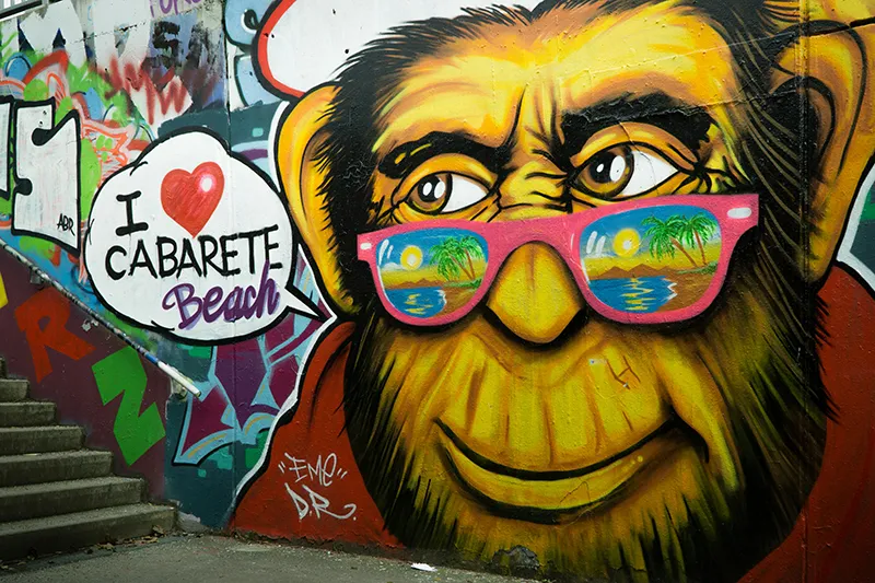 Reinaphics Branding Blog_Fueling creativity-Design inspiration from street-art-2