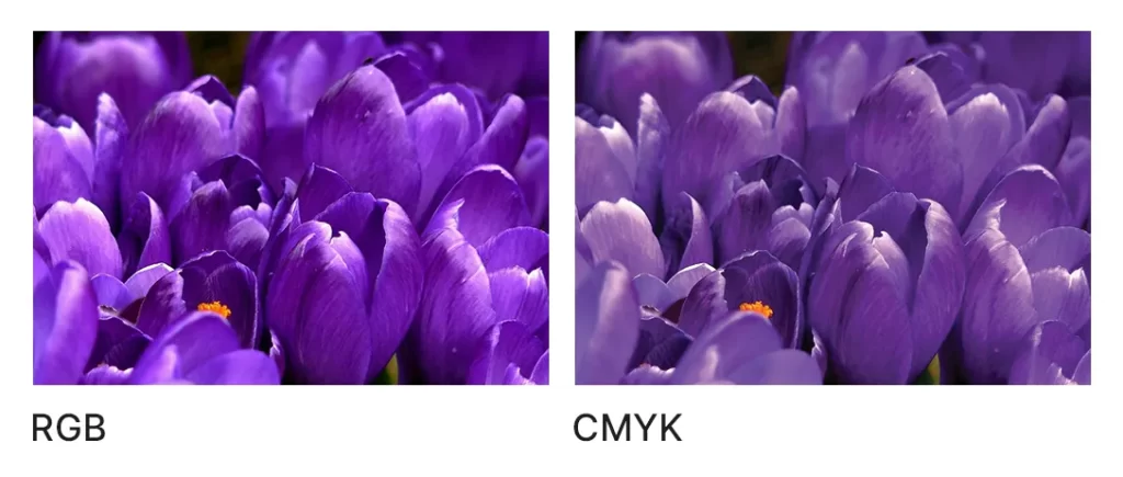 cmyk and rgb comparison